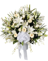 Premium size, 34 inches height and 34 inches wide.
