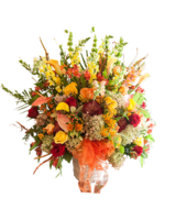 Deluxe size, 30 inches height and 30 inches wide.