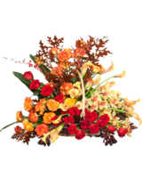 Standard size, 26 inches height and 26 inches wide.