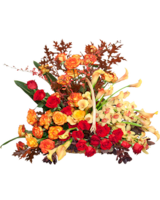 Deluxe size, 30 inches height and 30 inches wide.