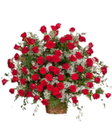 75 White Roses size, 32 inches height and 32 inches wide.