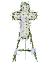 Standard (Shown) size, 42 inches height and 29 inches wide.
