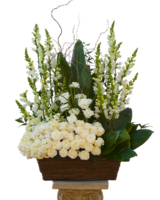 Deluxe size, 30 inches height and 30 inches wide.
