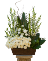 Premium size, 34 inches height and 34 inches wide.