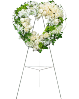 Premium size, 42 inches height and 40 inches wide.