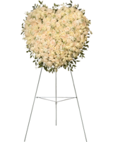 Deluxe (Shown) size, 37 inches height and 37 inches wide.