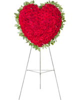 Pink Premium size, 42 inches height and 42 inches wide.