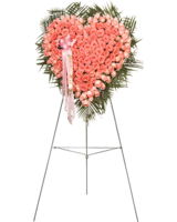 Deluxe (Shown) size, 37 inches height and 37 inches wide.
