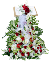Deluxe (Shown) size, 4 inches height and 24 inches wide.