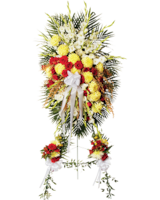 Deluxe (Shown) size, 84 inches height and 30 inches wide.