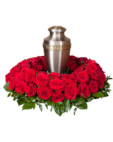Deluxe (Red) (Shown) size,  inches height and  inches wide.