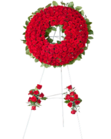 Premium (Red) size,  inches height and  inches wide.