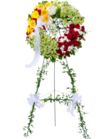 Deluxe (Shown) size,  inches height and  inches wide.