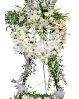 Deluxe (Shown) size,  inches height and  inches wide.