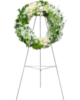 Deluxe (Shown) size,  inches height and  inches wide.