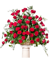 75 Red Roses size, 32 inches height and 32 inches wide.