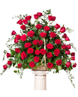 75 Pink Roses size, 32 inches height and 32 inches wide.