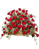 50 Pink Roses size, 28 inches height and 28 inches wide.