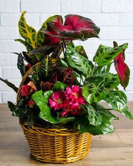 Basket size, 24 inches height and 19 inches wide.