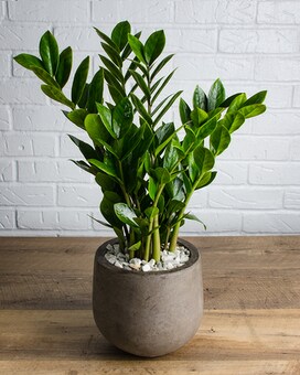 Standard size, 30 inches height and 13 inches wide.