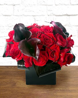 As Shown size, 12 inches height and 12 inches wide.