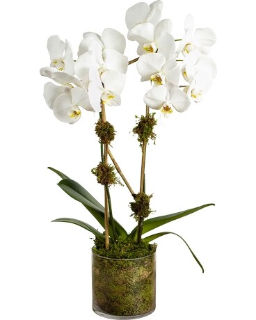 Double White Orchid Flower Arrangement