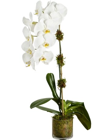 Single White Orchid Flower Arrangement