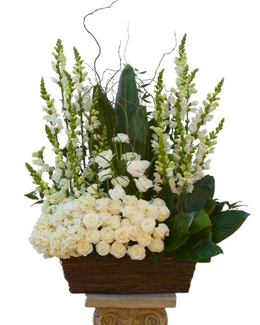 Chestnut HillWith greens tucked between serene, wh Flower Arrangement