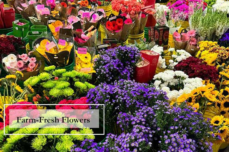 Frank Gallo Florist, Same-Day Flower Delivery, Schenectady NY Florist