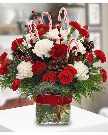Candy Cane Celebration Flower Arrangement