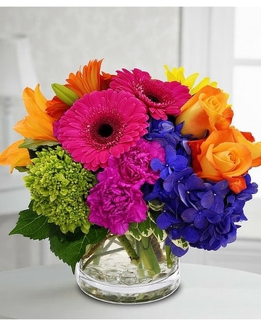 Color Pop