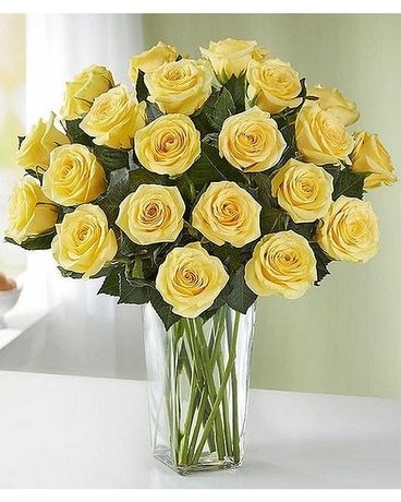 2 Dozen Yellow Roses