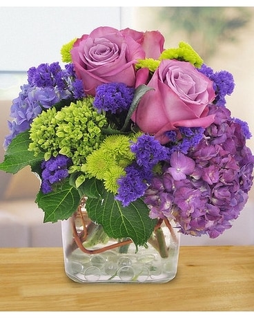 Purple Pops