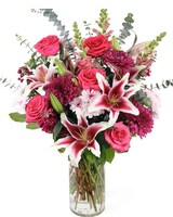 Bold & Beautiful in Schenectady NY - Frank Gallo & Son Florist