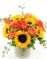 Hello Sunshine Deluxe in Schenectady NY - Frank Gallo & Son