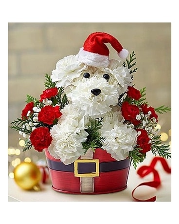 Santa Claus Dog Flower Arrangement