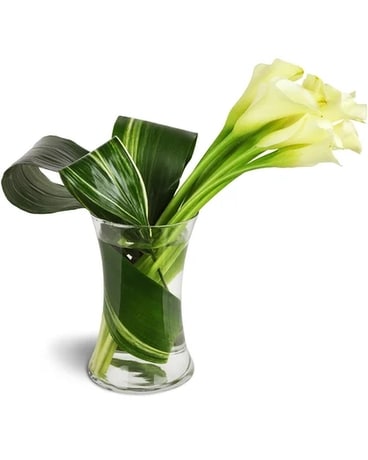 Classic Elegance Calla Vase™ Sympathy Arrangement