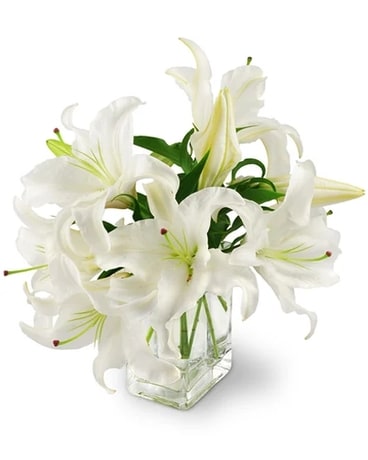 Peaceful Lilies Sympathy Arrangement