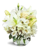 Premium size, 10 inches height and 9 inches wide.