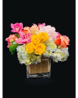 Standard 5x5 size,  inches height and  inches wide.