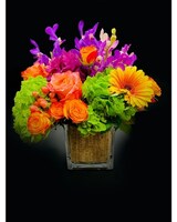 Standard 5X5 size,  inches height and  inches wide.