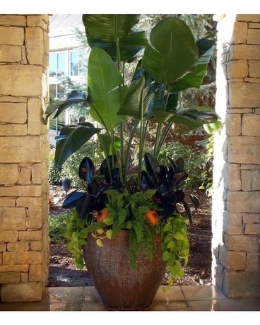 Planters Flower Arrangement