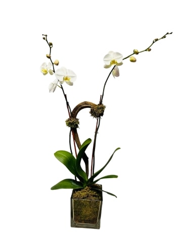 Double Orchid Flower Arrangement