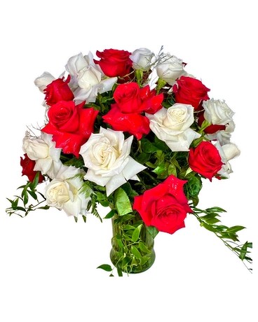 Red and White roses Flowers