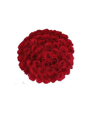 50 stems Red Roses Flowers