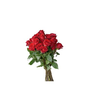 25 Roses Only Flowers