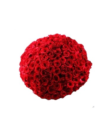 100 Red Roses Flowers