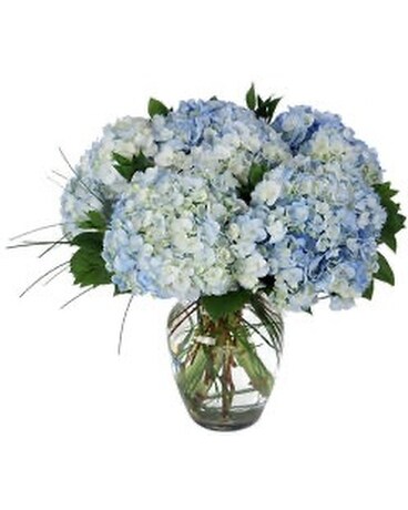 hydrangea Flower Arrangement