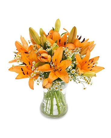 Orange Burst Flower Arrangement
