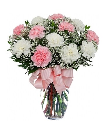 Pink/White Carnations-12 Stems Flower Arrangement
